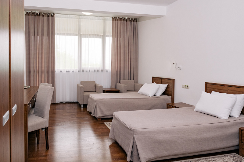 Двухместный однокомнатный номер "Джуниор сюит"